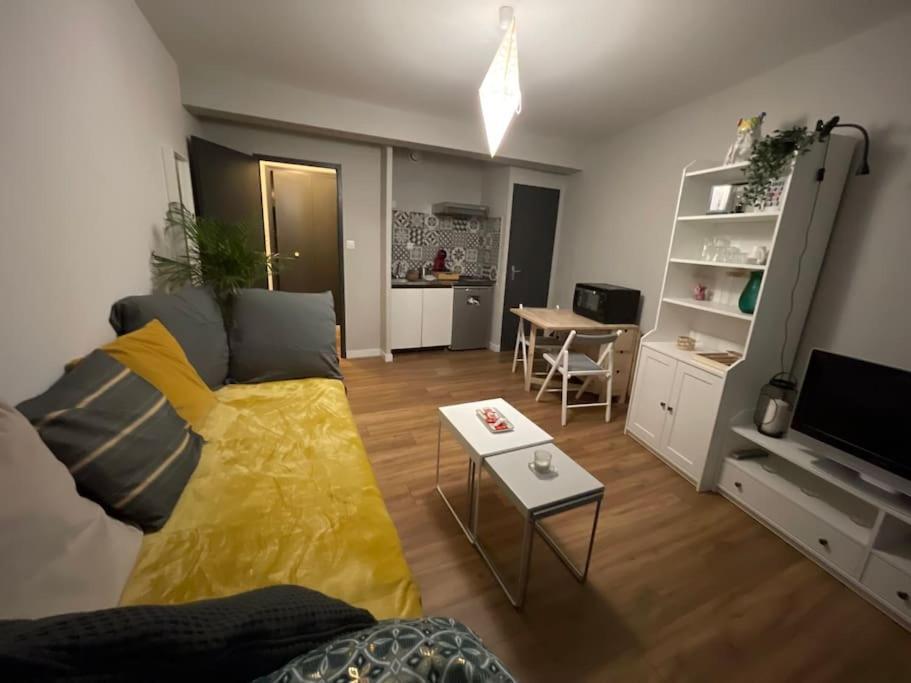 Saint-girons, En Plein Centre Apartment *