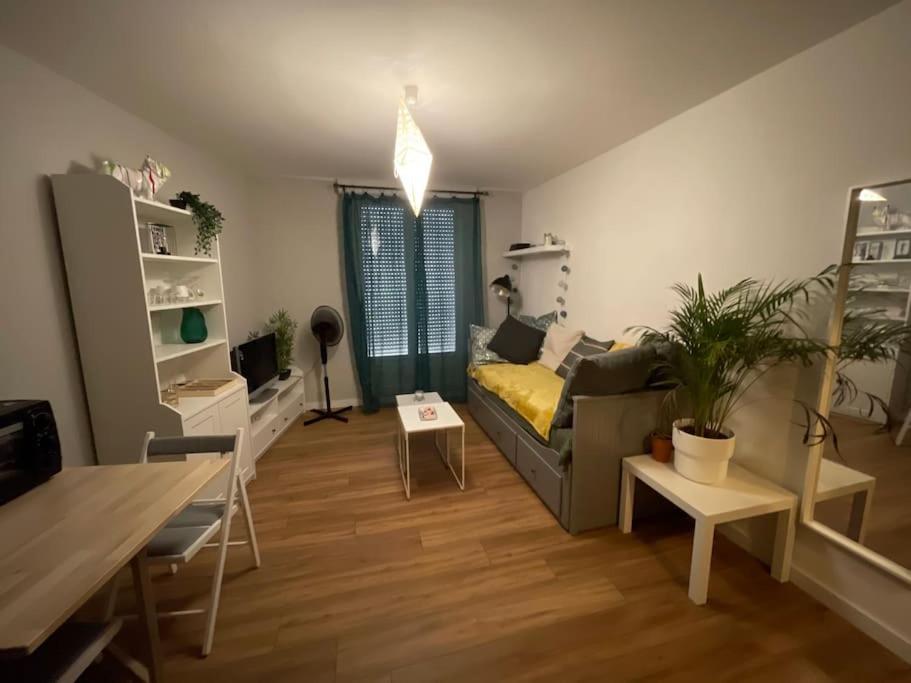 Apartment Saint-girons, En Plein Centre Saint-Girons (Ariege)